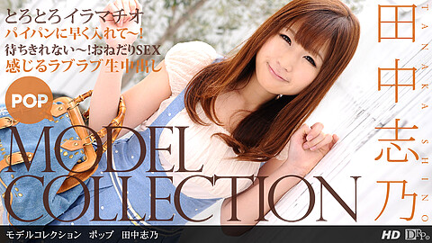 田中志乃 Model Collection