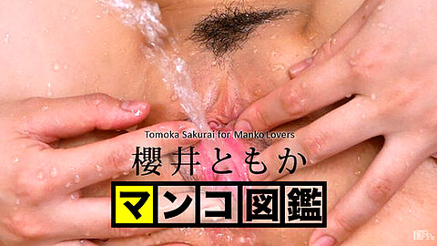 Tomoka Sakurai 美乳