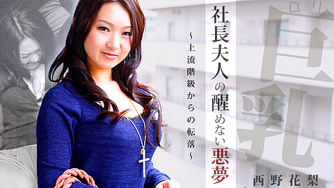 Karin Nishino Porn Star